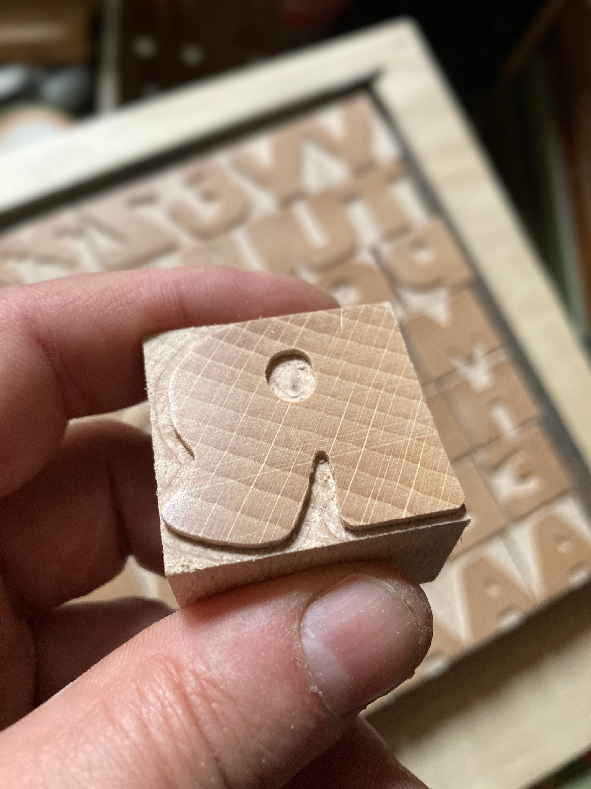 'Bletsoe' letterpress woodtype typeface