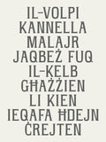 'Batta Delia' letterpress woodtype and digital typeface