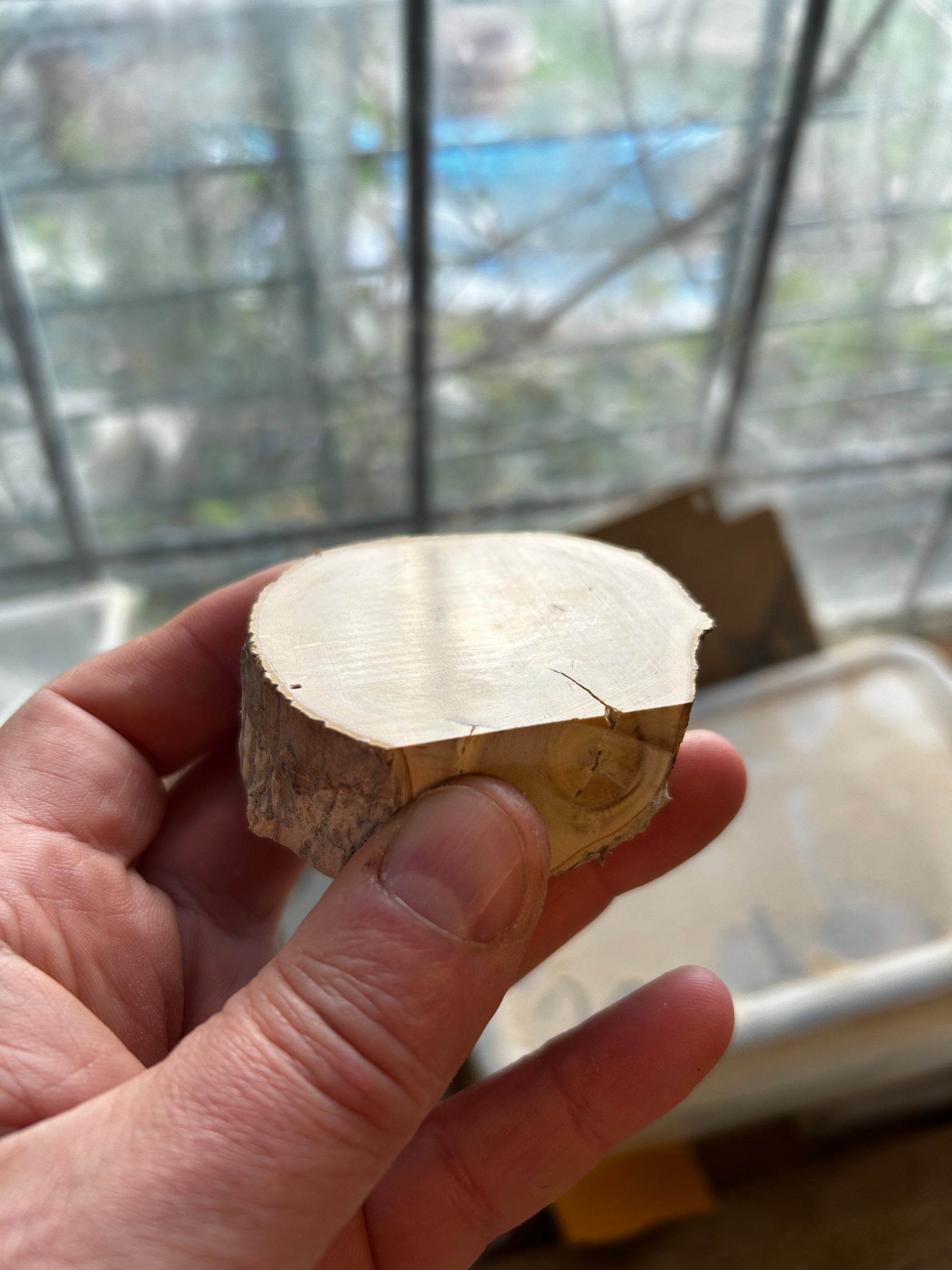 English Boxwood for Wood Engraving