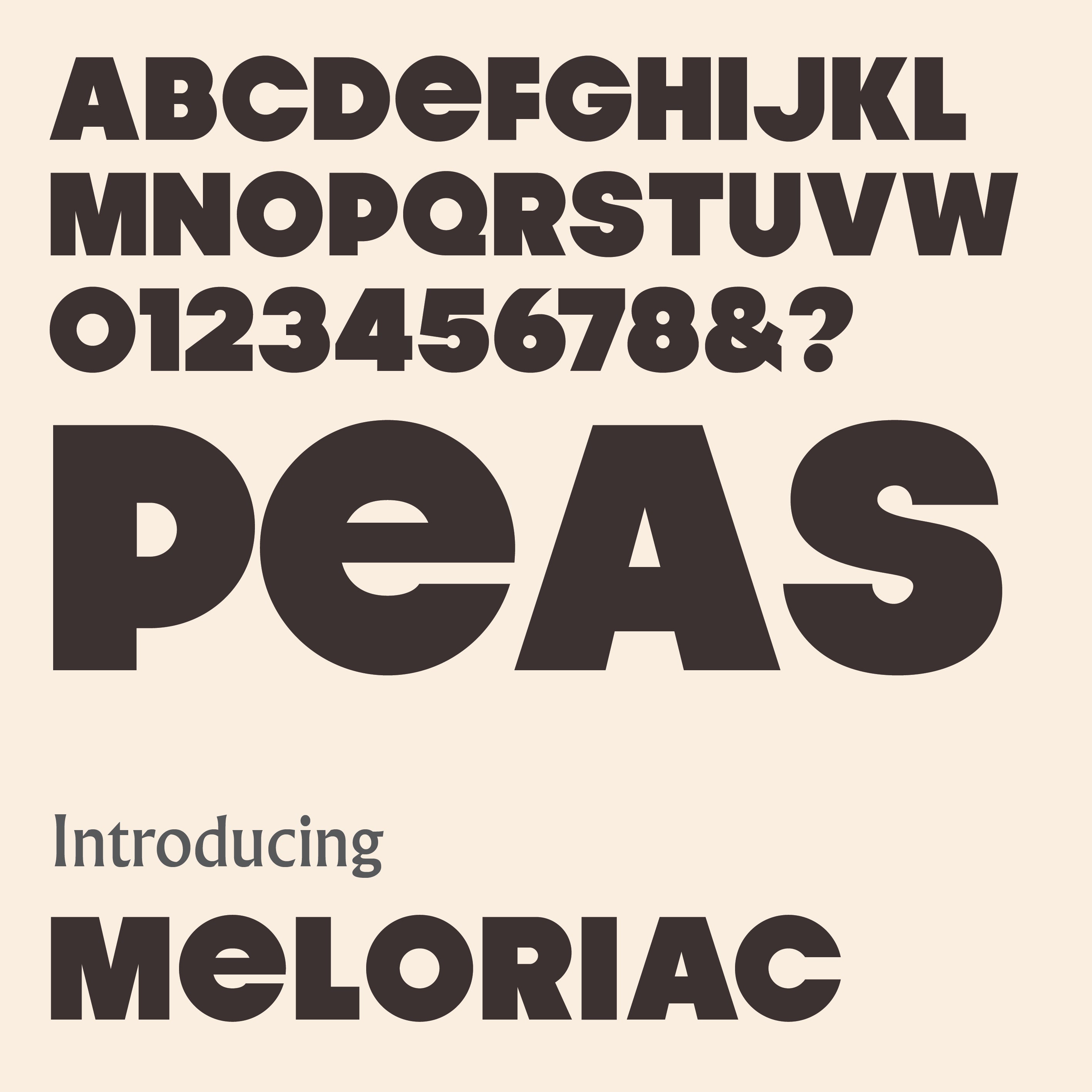 'Meloriac' letterpress woodtype typeface