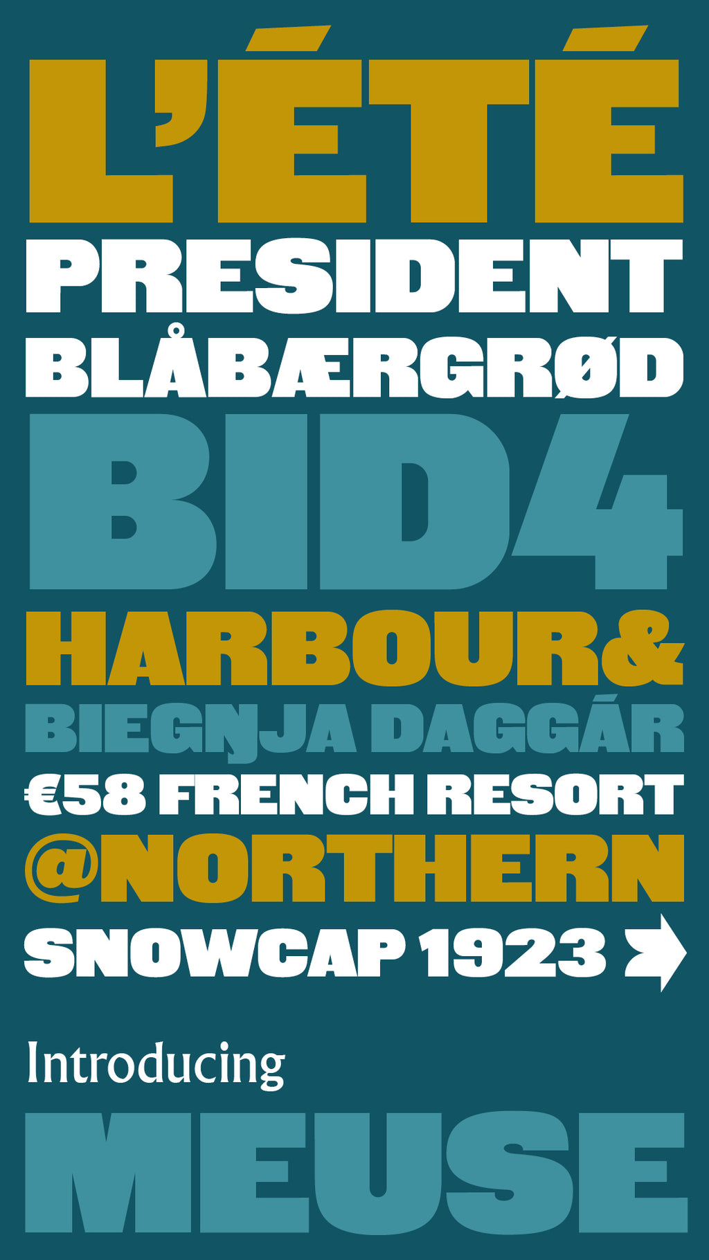 'Meuse' letterpress woodtype typeface