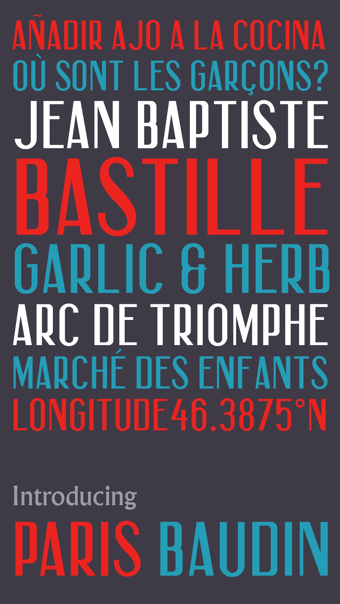 'Paris Baudin' letterpress woodtype typeface